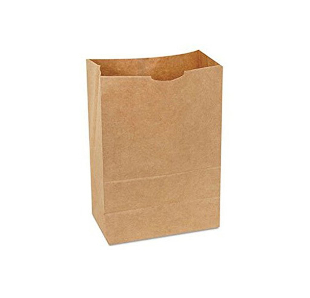 Bolsa Kraft 4 Lbs 1x100